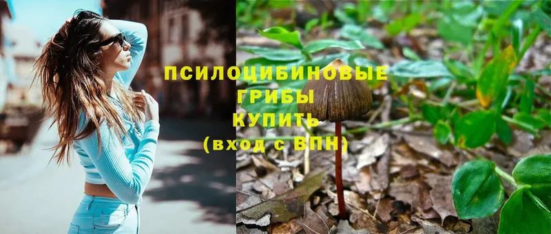 Галлюциногенные грибы Magic Shrooms  Ногинск 